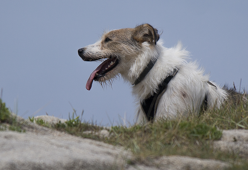 Tour Loire 05 - 201520150512_05125276 als Smartobjekt-1 Kopie.jpg - Felix war auch gut drauf. 